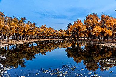 《路易吉洋馆2HD》登顶英国销量排行榜 首发得力